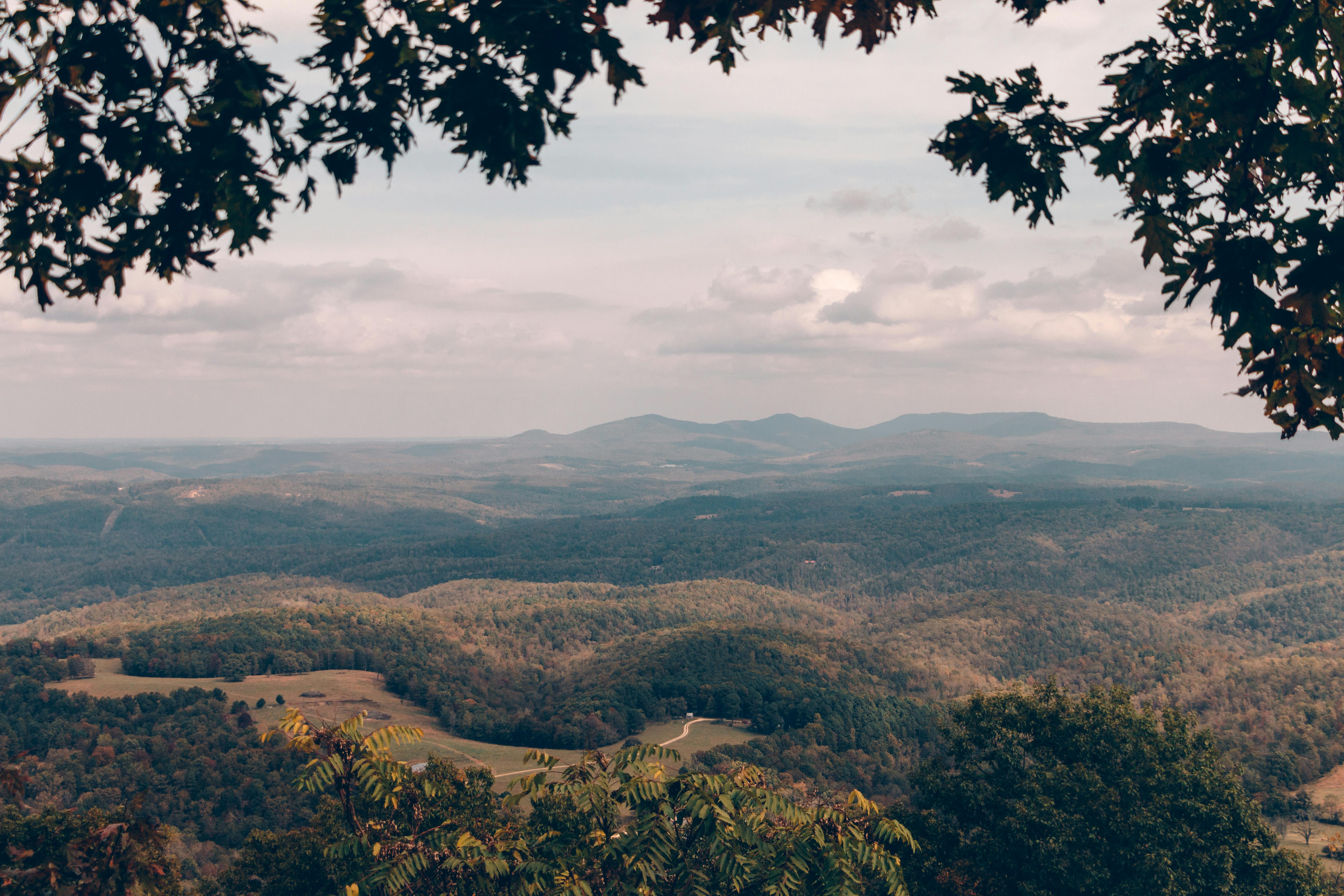 Arkansas Ranked 3rd Best State to Start a Business as Leaders Celebrate Small Businesses — Photo by Soroush Karimi on Pexels