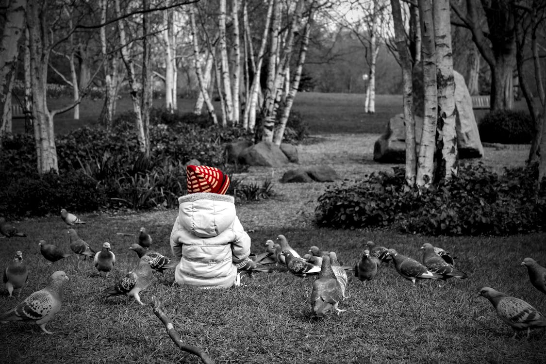 Free Selective Colour Photography Of Toddler Sitting On Grass Next to Pigeons Stock Photo