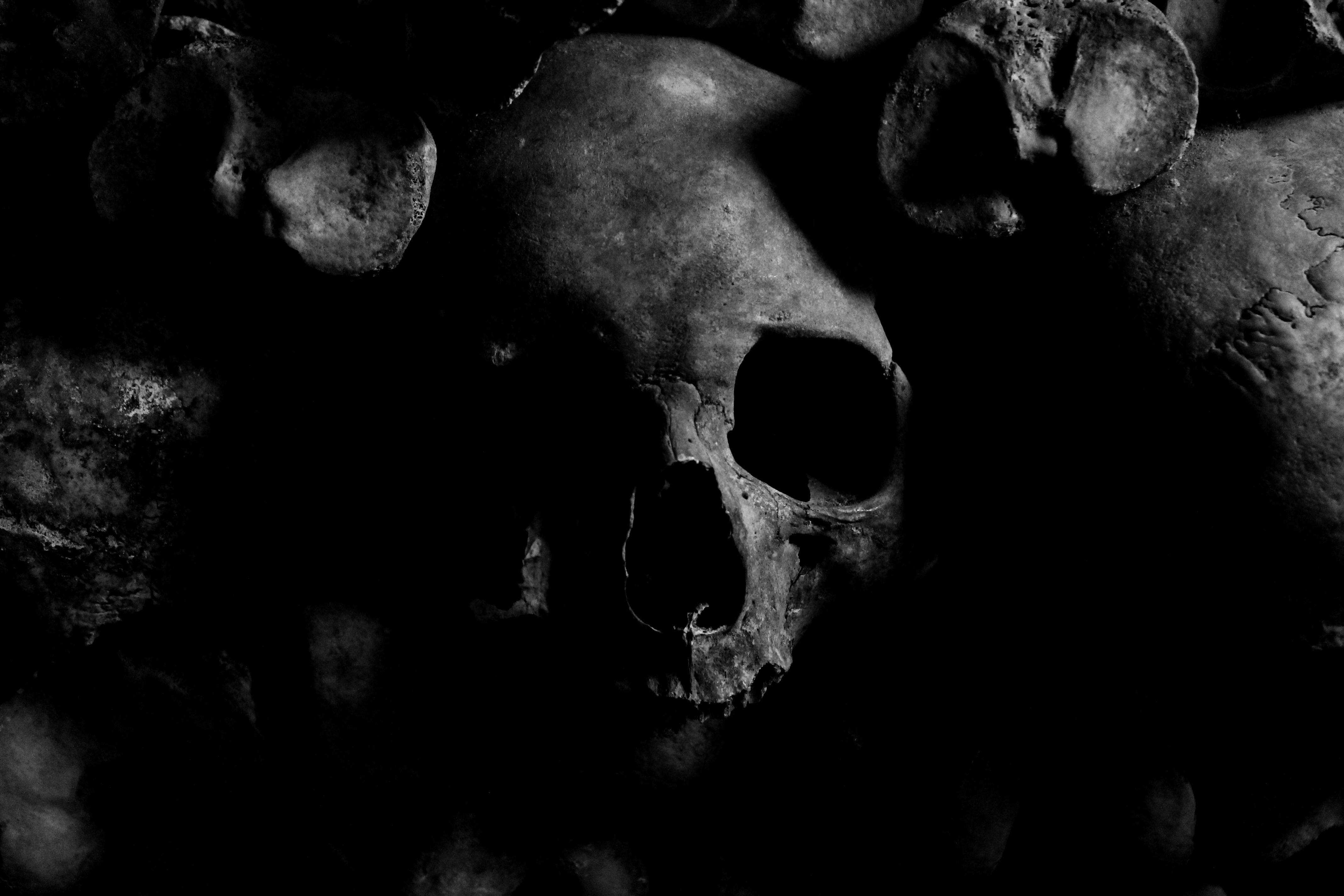 HD wallpaper Dark Skull smoke evil 3d and abstract  Wallpaper Flare