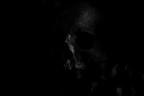 Free stock photo of black, bones, dark