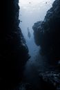 Diver swimming between rocks