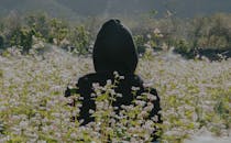 一个人穿着连帽衫，站在户外盛开的野花丛中