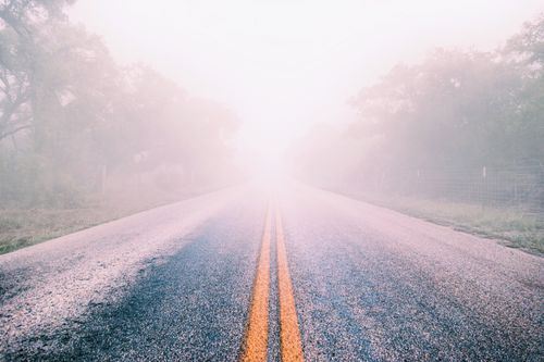 Free A foggy road stretches into the mist, bordered by trees, creating a mysterious travel scene. Stock Photo