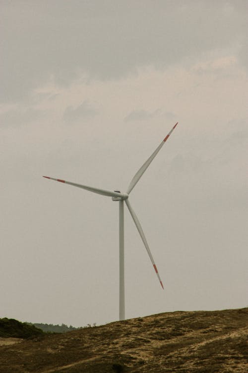 Photo of a White and Red Windmill