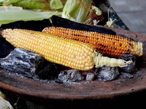 Fotos de stock gratuitas de cocinando, de cerca, mazorcas de maíz