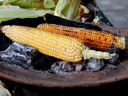 Immagine gratuita di avvicinamento, cucinando, griglia a carbone