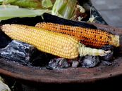 Yellow Corn on Black Stone
