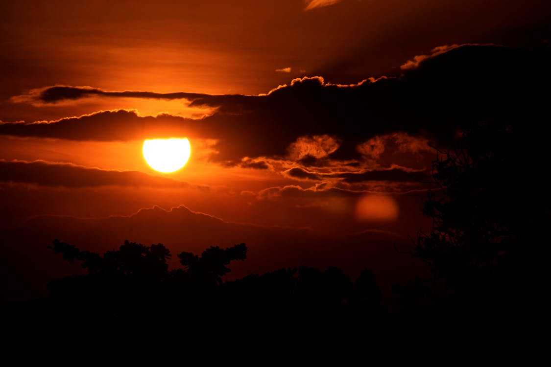 オレンジ色の空, 夜明け, 太陽の無料の写真素材