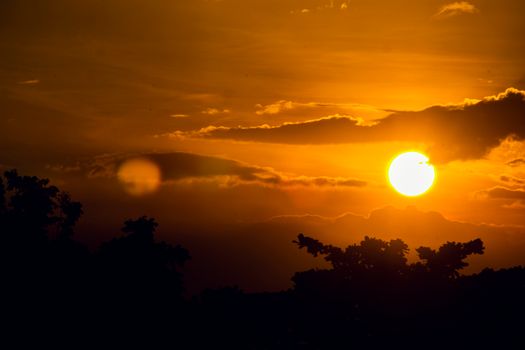 A stunning golden sunset with tree silhouettes, captured at dusk.
