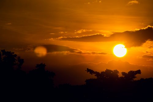 Free A stunning golden sunset with tree silhouettes, captured at dusk. Stock Photo