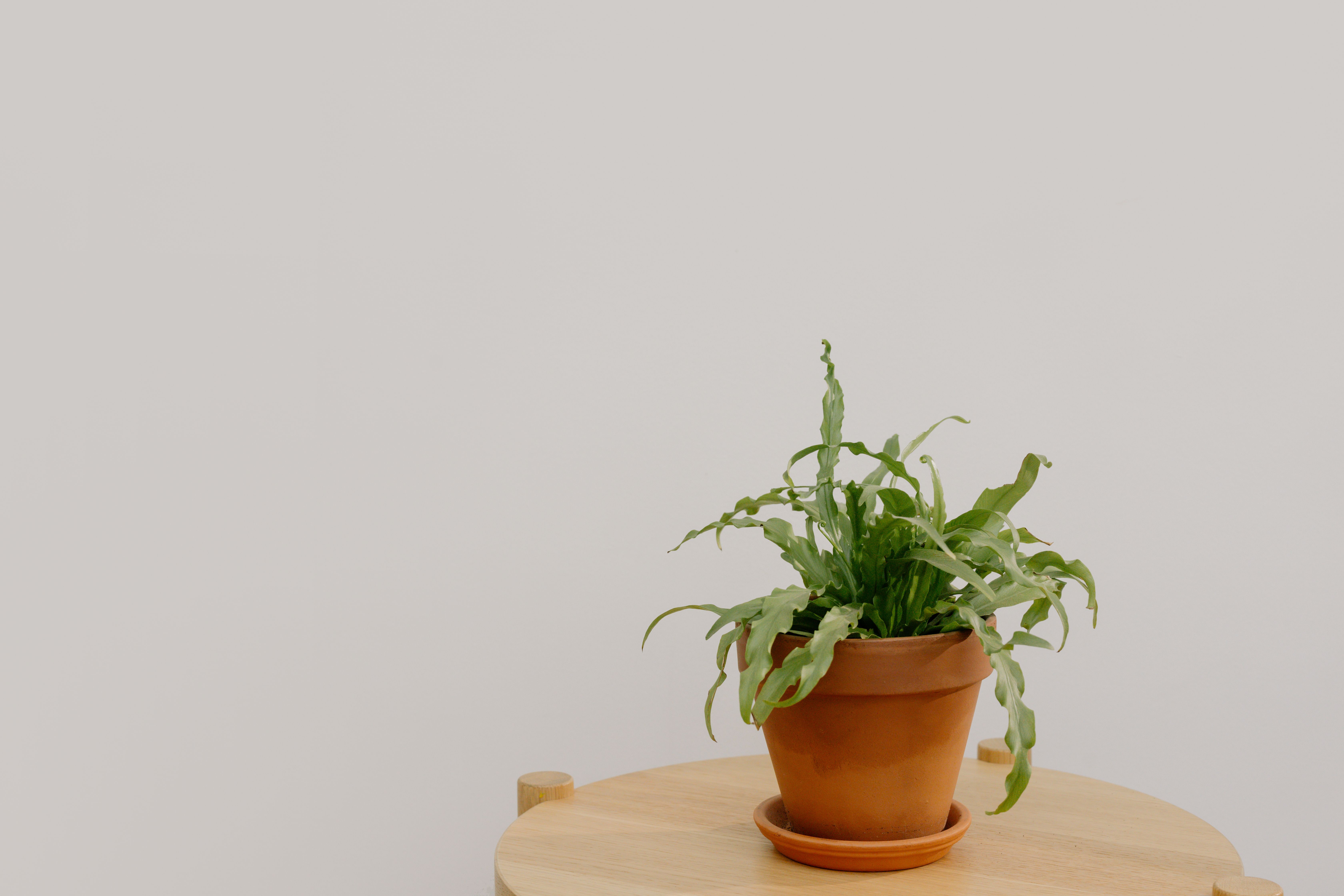 Quiet consultation space