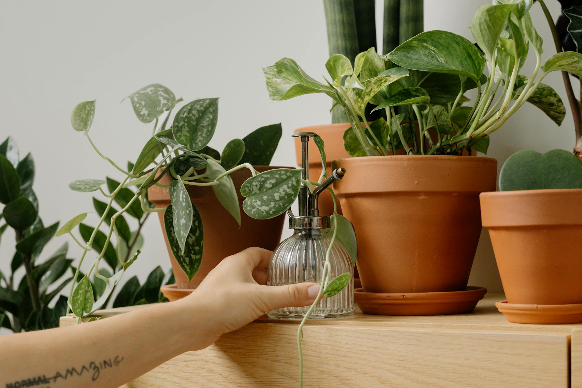 Hand Holding Clear Glass Spray Bottle