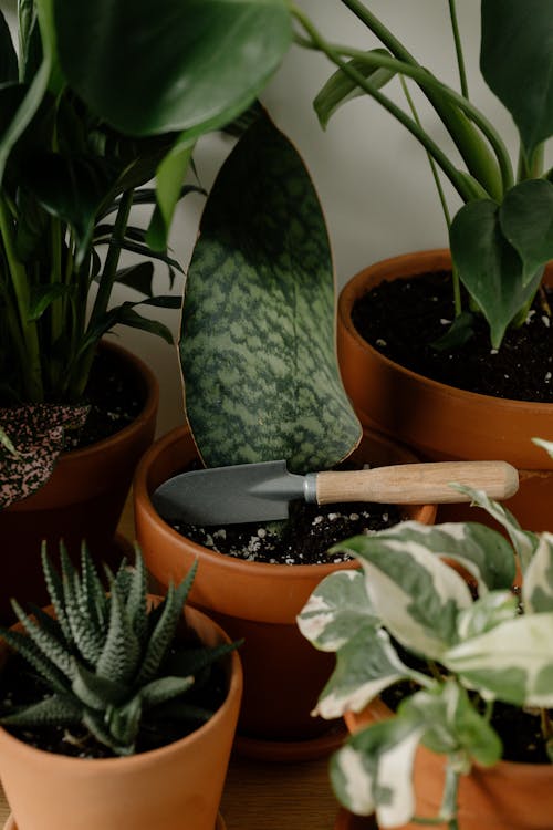 Trowel on Brown Clay Pot