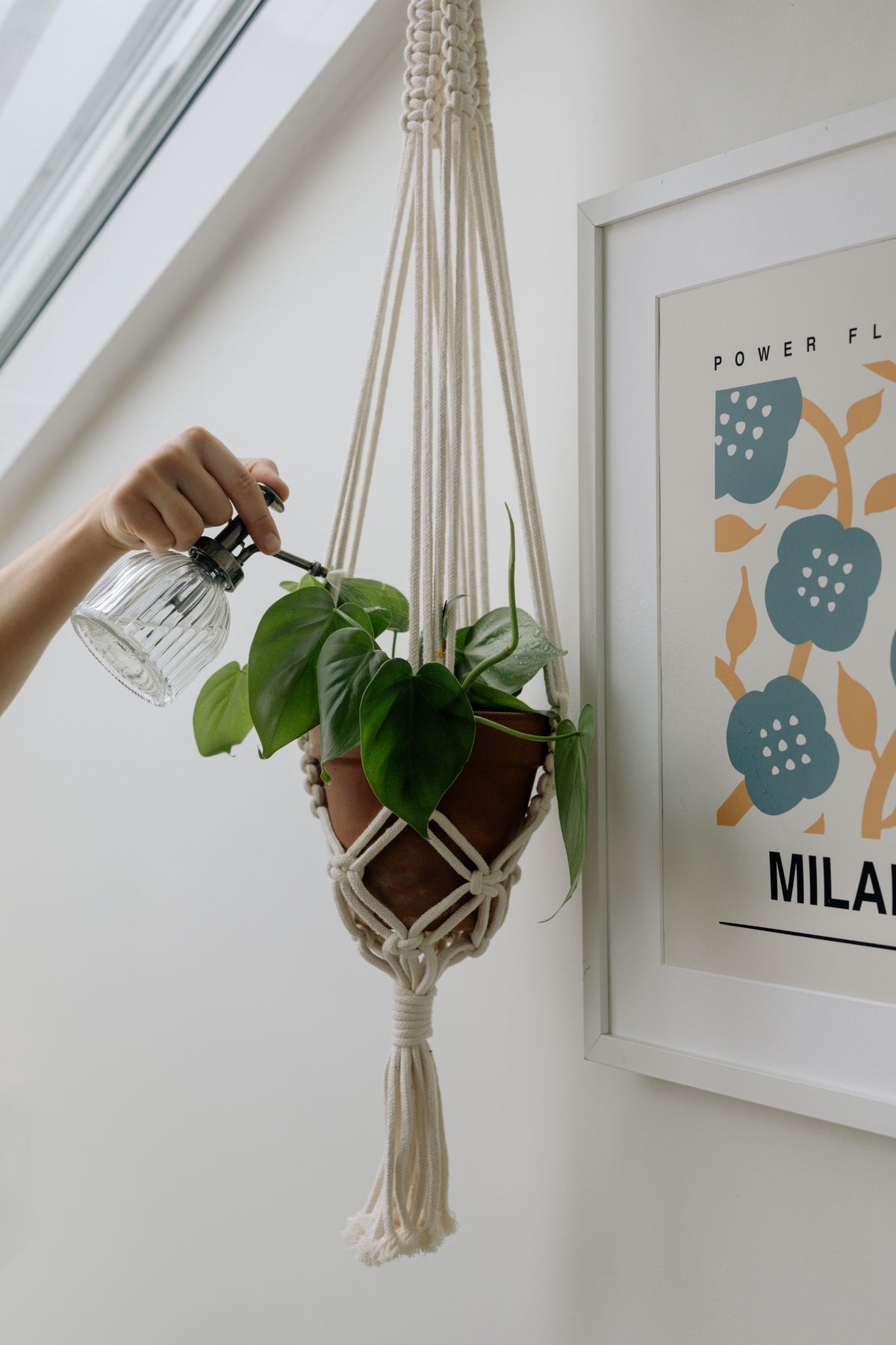 Cotton Plant Hanger