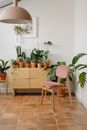 Green Potted Plant on Brown Wooden Table
