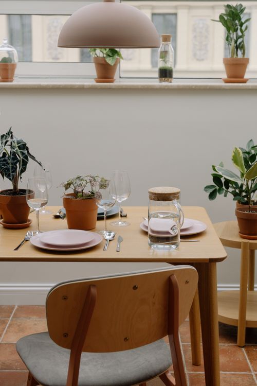 Free Minimalist dining setup with potted plants on a wooden table near a window. Stock Photo
