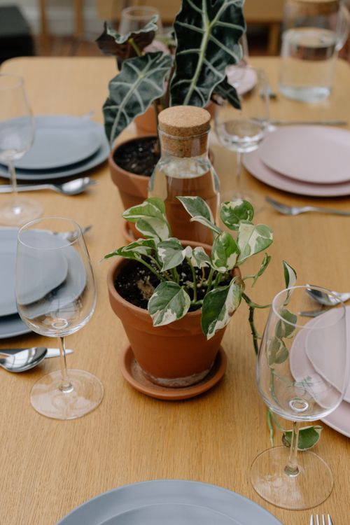 Free Chic tabletop arrangement featuring potted plants and glassware on wooden table. Stock Photo