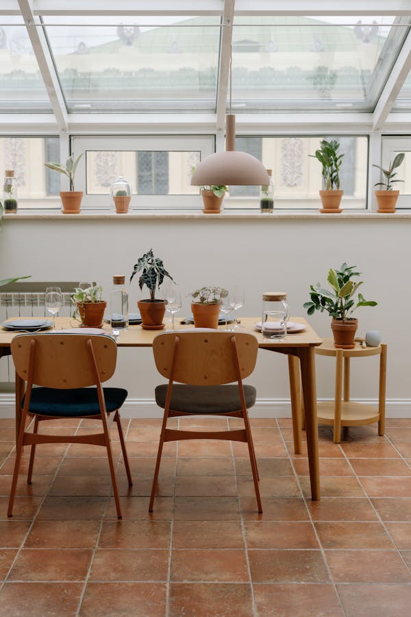 Free stock photo of architecture, background, chair