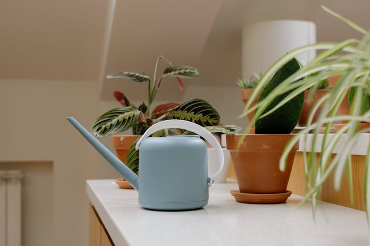 Pastel Blue Watering Can