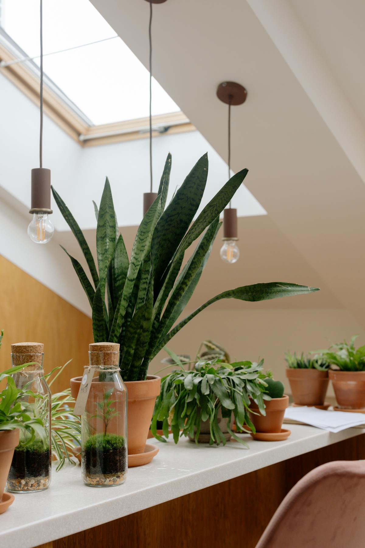 The Meridian Residence