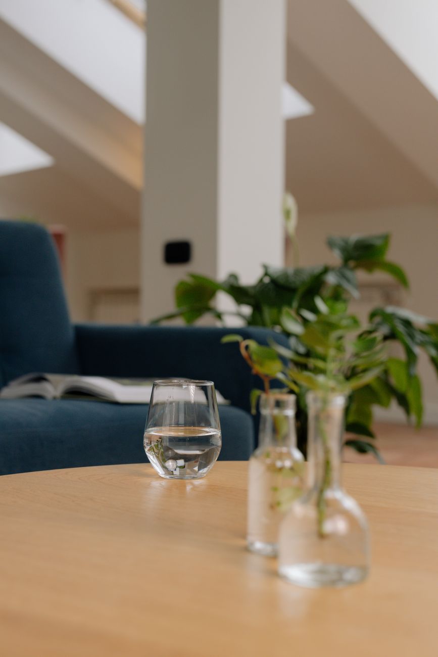 A modern living room featuring indoor plants and glass decor on a wooden table, creating a relaxing ambiance.