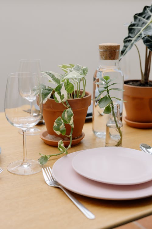 Plates, Plant and Glasses on Table