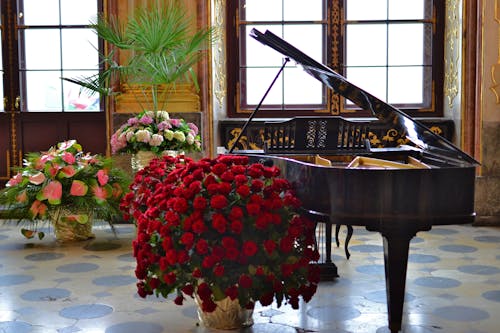 Grand Piano Coklat Di Samping Bunga Merah