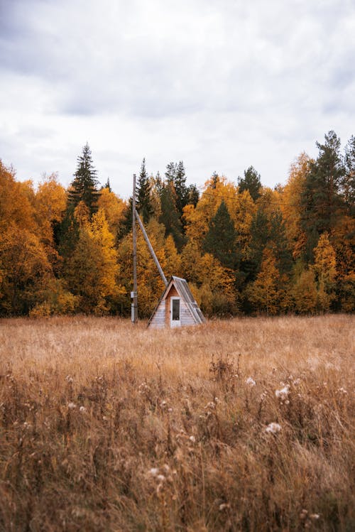 A Wooden House in the Middle of the Field Near a Forest