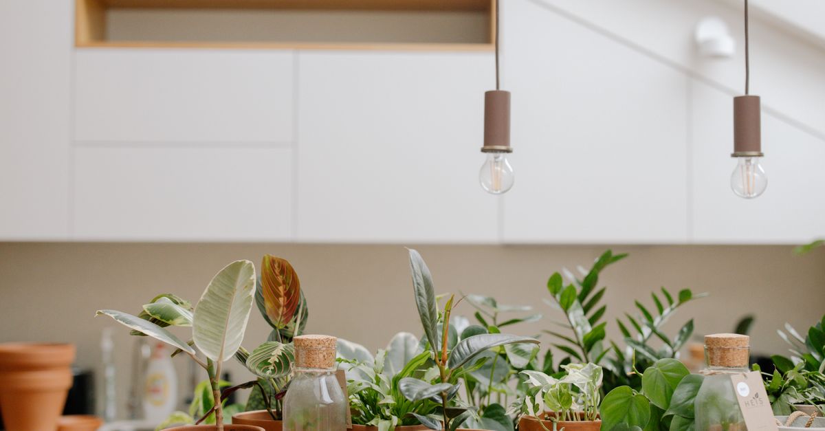 Comment choisir un frigo écoénergétique pour votre maison