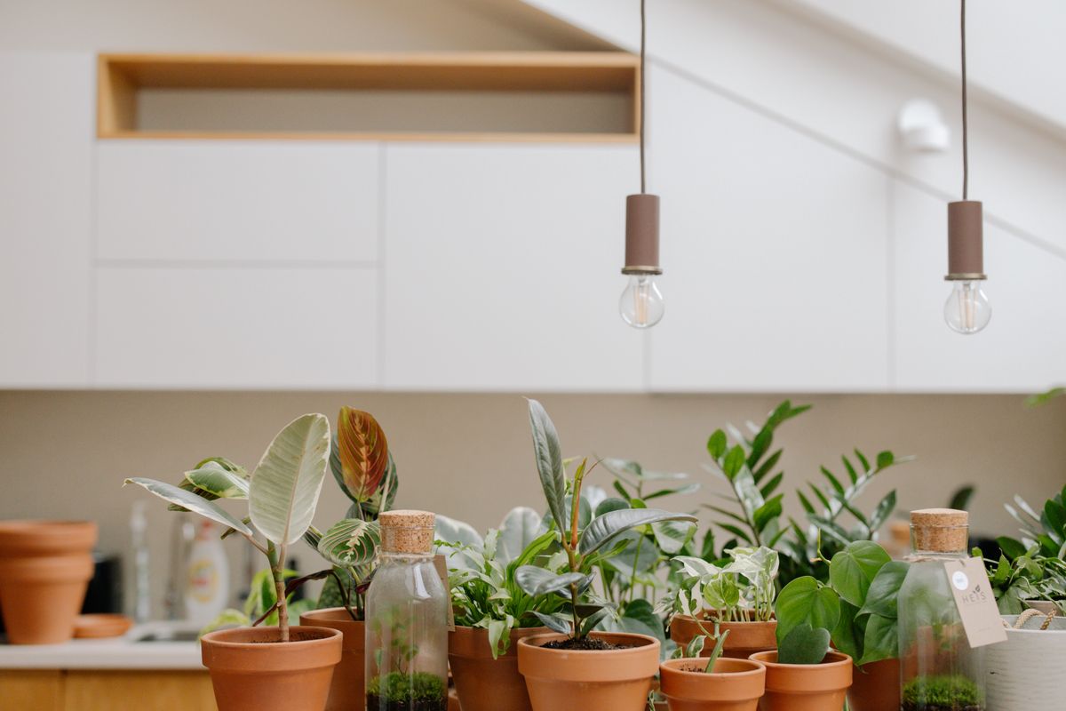 Hardware and Metal Finishes