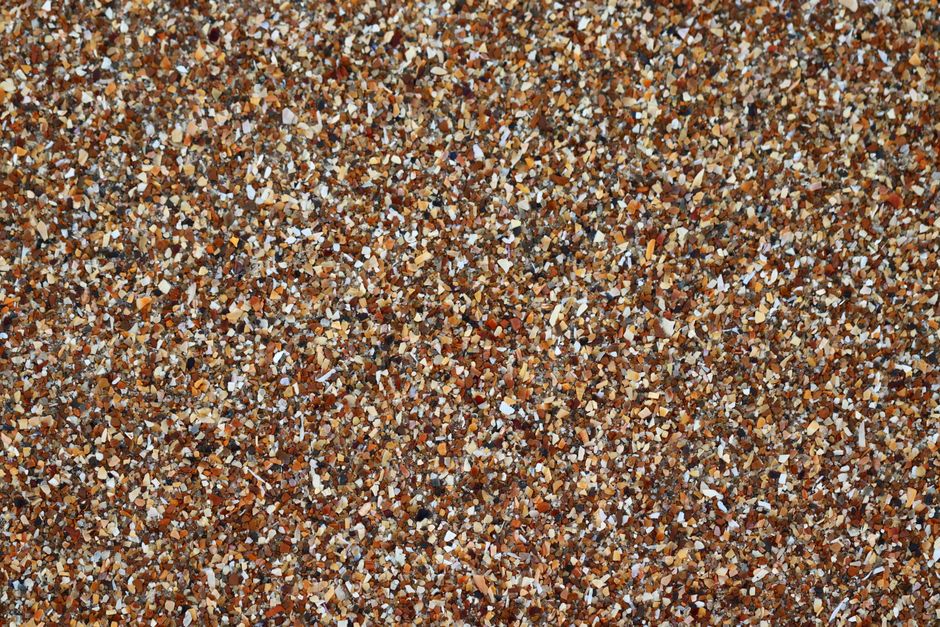 Southwest Florida yard with crushed seashell landscaping Southwest Florida yard with crushed seashell landscaping