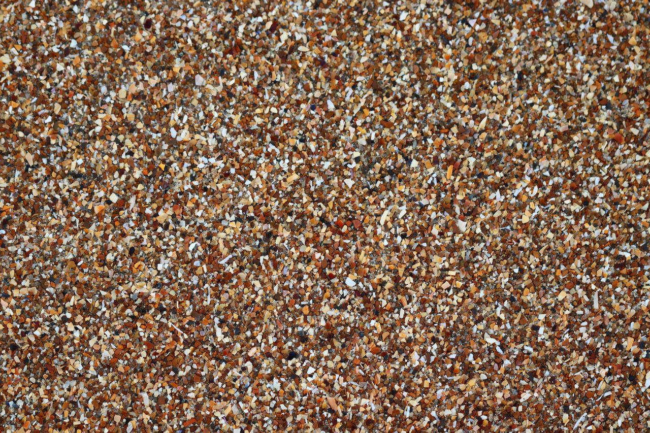 detailed image of a textured surface made of crushed seashells perfect