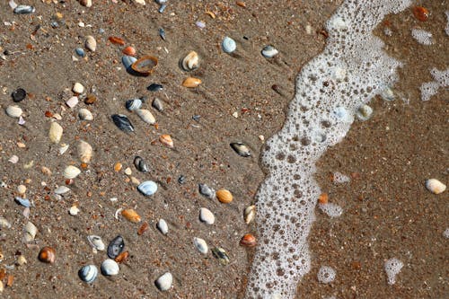 Close up of Pebbles on Beach
