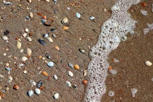 A detailed view of multicolored pebbles and seashells on a sandy beach with gentle sea foam.