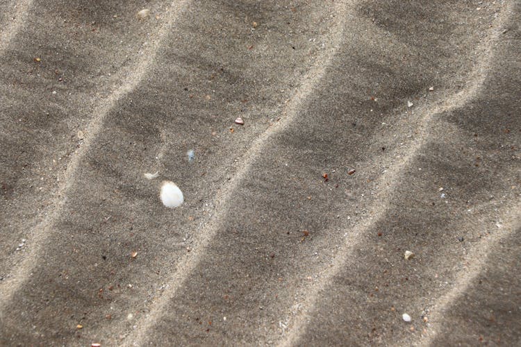 Close-Up Of Rippled Beach Sand