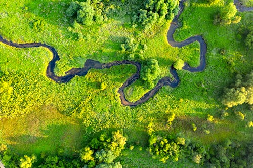 Free Aerial Photography of a River in the Middle of the Forest Stock Photo