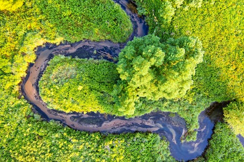 Ingyenes stockfotó drónfelvétel, erdő, folyó témában