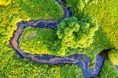 Free A stunning aerial view of a winding river surrounded by lush green forests in Minnesota. Stock Photo