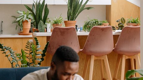 Man reading a book in a modern living area with plants and stylish furniture.