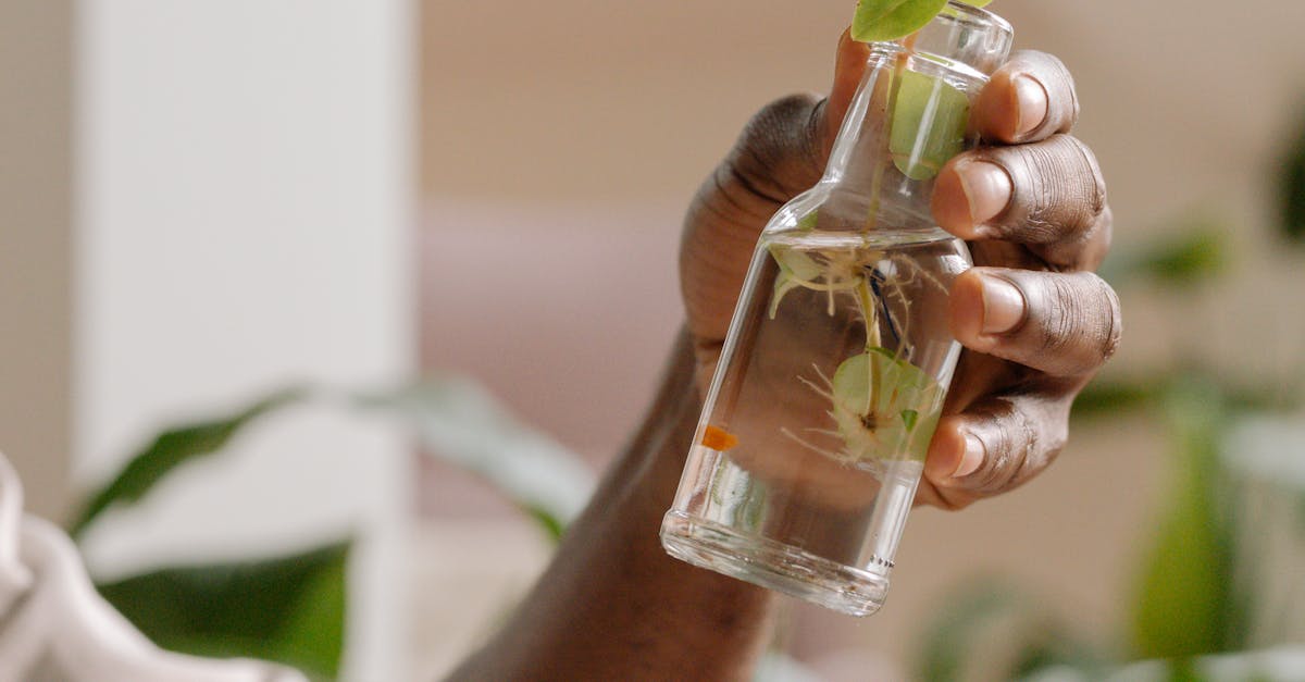 A close-up photo showing a gardener propagating a plant by taking a cutting and placing it in a glass of water.