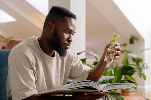 Free Focused man reading a book while examining a plant in a vial at home. Stock Photo