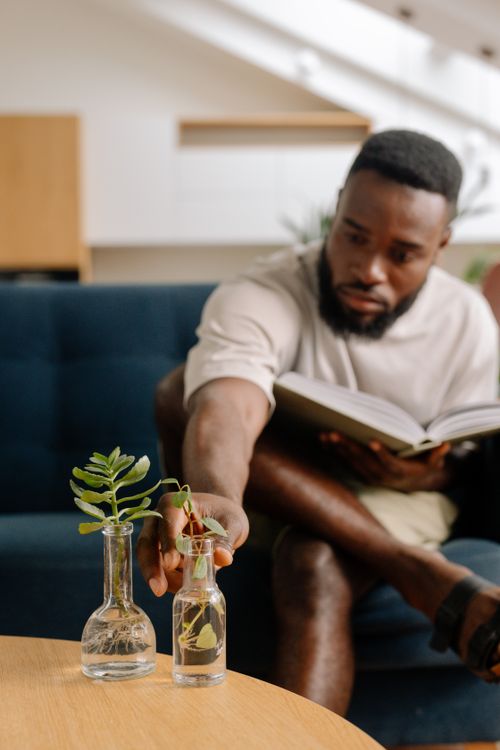 Free A man reads a book while tending to plants in glass vases indoors, creating a cozy atmosphere. Stock Photo