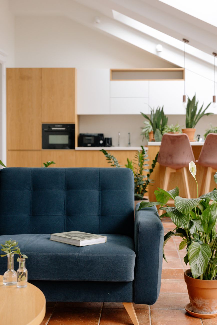 A stylish, sunlit living room featuring a blue couch, wooden furniture, and lush potted plants.