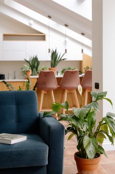 Stylish open loft space featuring lush indoor plants, a blue sofa, and a modern kitchen setup.