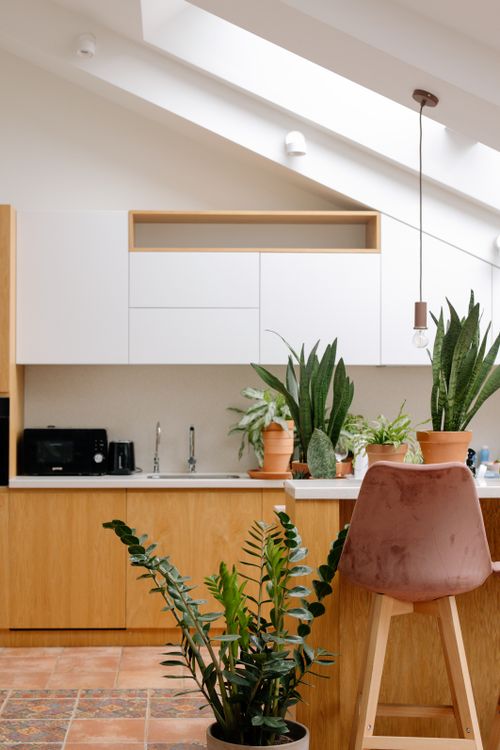 Bright kitchen with indoor plants and wooden counters — photo by cottonbro studio on Pexels