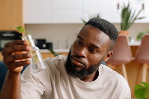 Free A man with facial hair intently observes a plant cutting in a glass bottle inside a modern home setting. Stock Photo