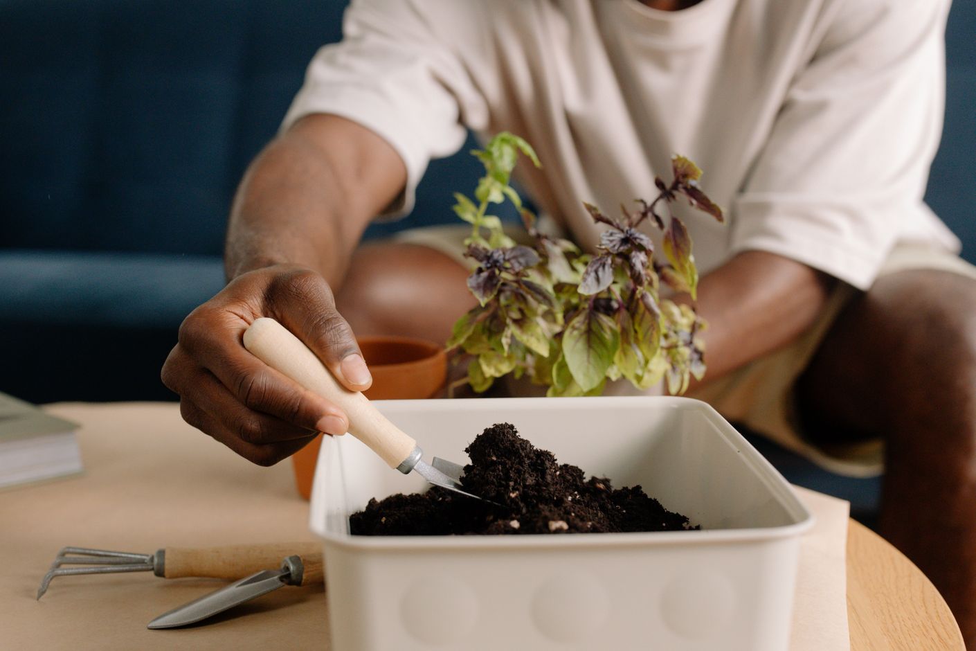 Mãos preparando o solo e plantando ervas em um recipiente.