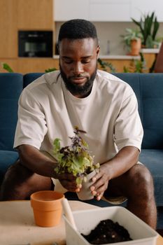 Adult man sitting on a couch planting herbs in pots indoors, promoting a lifestyle of home gardening.