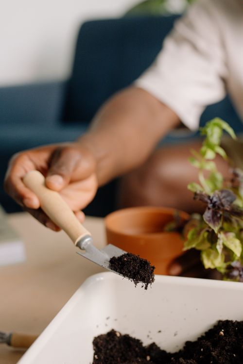 Free A close-up of a man's hand holding soil with a gardening shovel indoors. Stock Photo