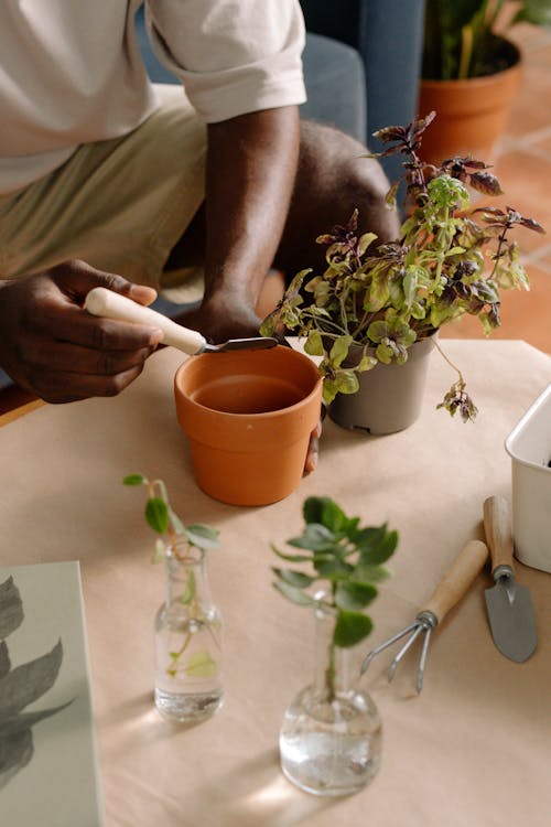 Foto profissional grátis de espátula, ferramentas de jardinagem, garfo de jardinagem